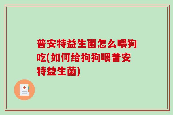 普安特益生菌怎么喂狗吃(如何给狗狗喂普安特益生菌)