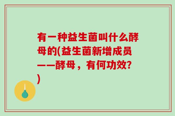 有一种益生菌叫什么酵母的(益生菌新增成员——酵母，有何功效？)