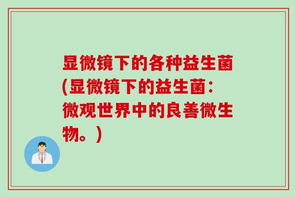 显微镜下的各种益生菌(显微镜下的益生菌：微观世界中的良善微生物。)
