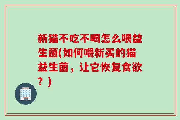 新猫不吃不喝怎么喂益生菌(如何喂新买的猫益生菌，让它恢复食欲？)