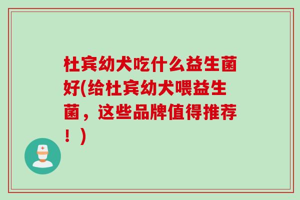 杜宾幼犬吃什么益生菌好(给杜宾幼犬喂益生菌，这些品牌值得推荐！)