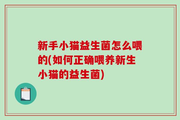 新手小猫益生菌怎么喂的(如何正确喂养新生小猫的益生菌)