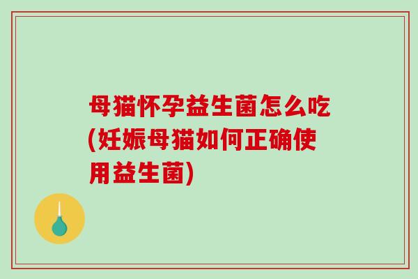 母猫怀孕益生菌怎么吃(妊娠母猫如何正确使用益生菌)