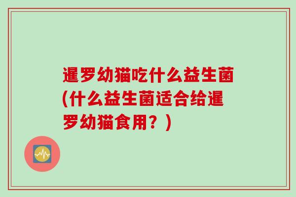 暹罗幼猫吃什么益生菌(什么益生菌适合给暹罗幼猫食用？)