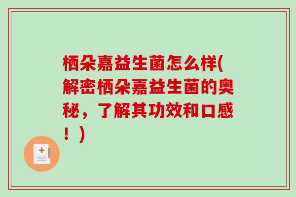 栖朵嘉益生菌怎么样(解密栖朵嘉益生菌的奥秘，了解其功效和口感！)