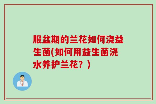服盆期的兰花如何浇益生菌(如何用益生菌浇水养护兰花？)