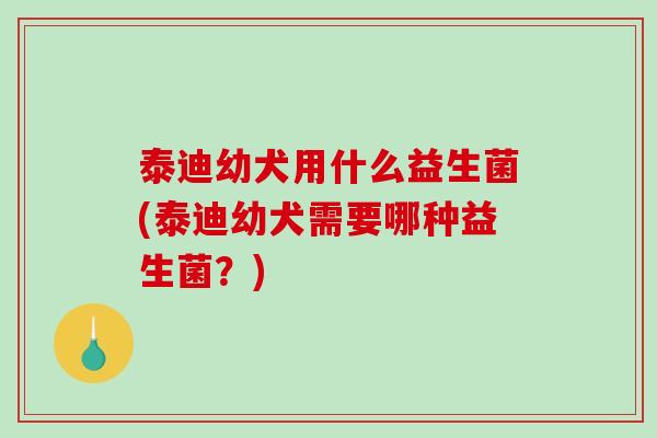 泰迪幼犬用什么益生菌(泰迪幼犬需要哪种益生菌？)