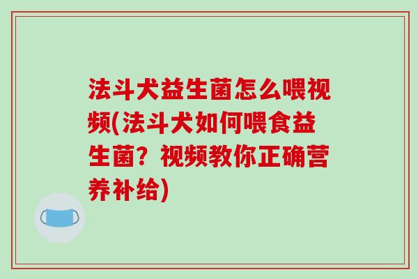 法斗犬益生菌怎么喂视频(法斗犬如何喂食益生菌？视频教你正确营养补给)