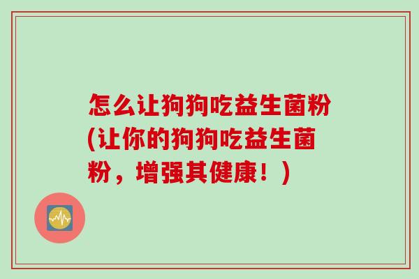 怎么让狗狗吃益生菌粉(让你的狗狗吃益生菌粉，增强其健康！)