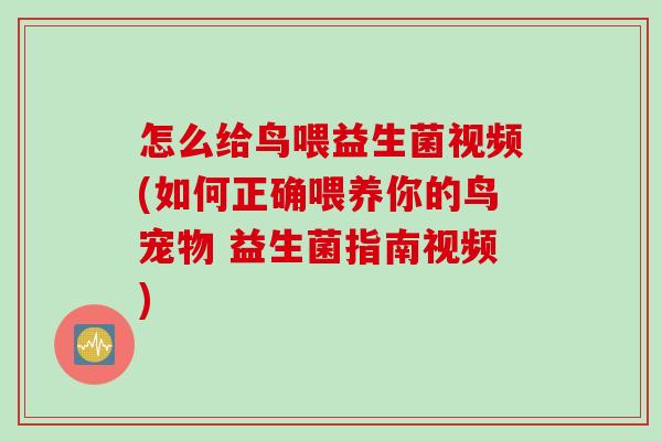 怎么给鸟喂益生菌视频(如何正确喂养你的鸟宠物 益生菌指南视频)