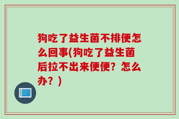 狗吃了益生菌不排便怎么回事(狗吃了益生菌后拉不出来便便？怎么办？)
