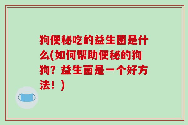 狗便秘吃的益生菌是什么(如何帮助便秘的狗狗？益生菌是一个好方法！)