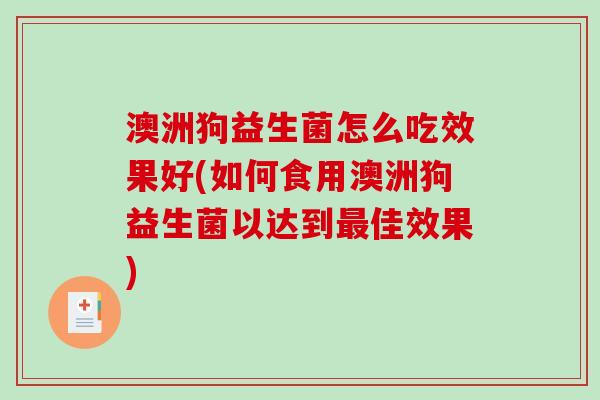 澳洲狗益生菌怎么吃效果好(如何食用澳洲狗益生菌以达到最佳效果)
