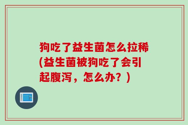 狗吃了益生菌怎么拉稀(益生菌被狗吃了会引起腹泻，怎么办？)
