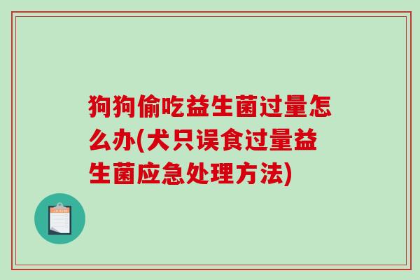 狗狗偷吃益生菌过量怎么办(犬只误食过量益生菌应急处理方法)