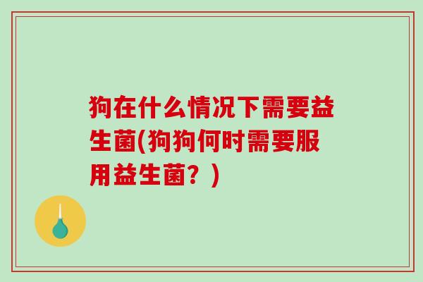 狗在什么情况下需要益生菌(狗狗何时需要服用益生菌？)