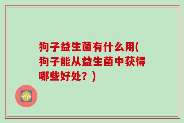狗子益生菌有什么用(狗子能从益生菌中获得哪些好处？)