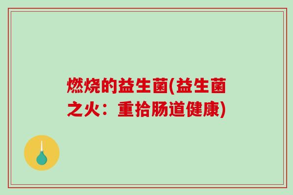 燃烧的益生菌(益生菌之火：重拾肠道健康)