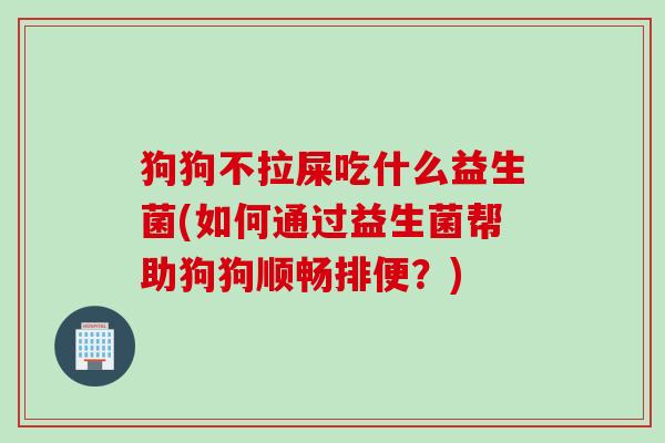 狗狗不拉屎吃什么益生菌(如何通过益生菌帮助狗狗顺畅排便？)