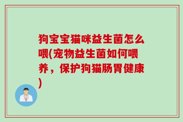 狗宝宝猫咪益生菌怎么喂(宠物益生菌如何喂养，保护狗猫肠胃健康)