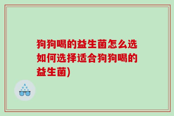 狗狗喝的益生菌怎么选如何选择适合狗狗喝的益生菌)