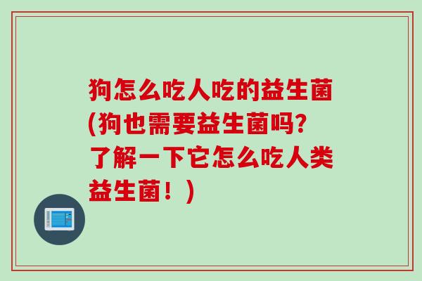 狗怎么吃人吃的益生菌(狗也需要益生菌吗？了解一下它怎么吃人类益生菌！)