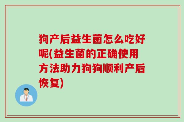 狗产后益生菌怎么吃好呢(益生菌的正确使用方法助力狗狗顺利产后恢复)