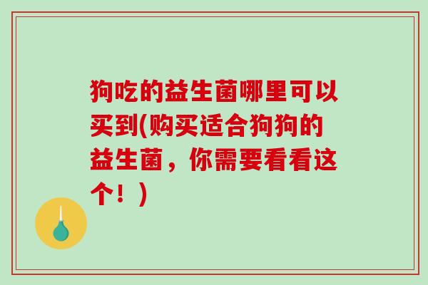 狗吃的益生菌哪里可以买到(购买适合狗狗的益生菌，你需要看看这个！)