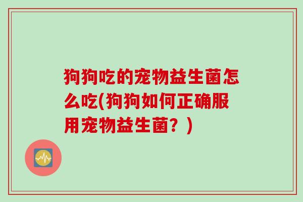 狗狗吃的宠物益生菌怎么吃(狗狗如何正确服用宠物益生菌？)