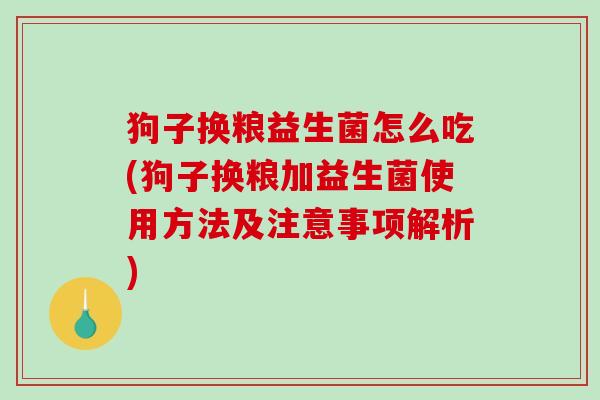 狗子换粮益生菌怎么吃(狗子换粮加益生菌使用方法及注意事项解析)