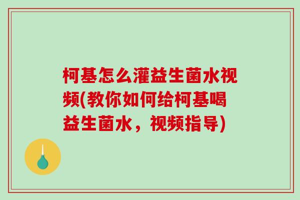 柯基怎么灌益生菌水视频(教你如何给柯基喝益生菌水，视频指导)