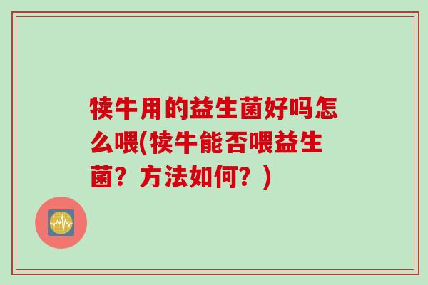 犊牛用的益生菌好吗怎么喂(犊牛能否喂益生菌？方法如何？)