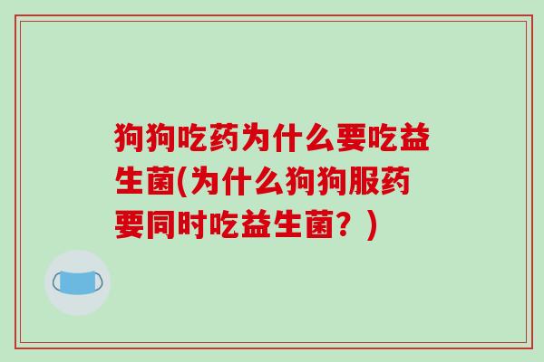 狗狗吃药为什么要吃益生菌(为什么狗狗服药要同时吃益生菌？)