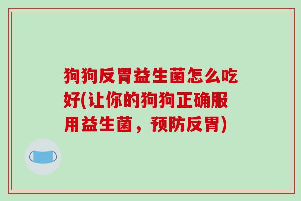狗狗反胃益生菌怎么吃好(让你的狗狗正确服用益生菌，预防反胃)