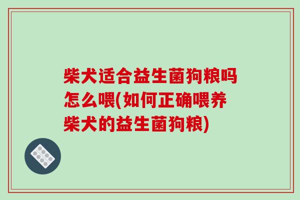柴犬适合益生菌狗粮吗怎么喂(如何正确喂养柴犬的益生菌狗粮)