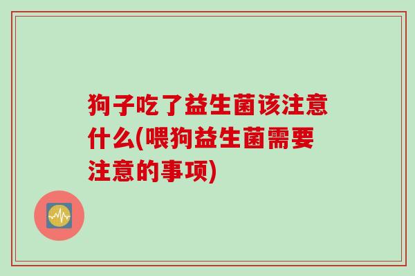 狗子吃了益生菌该注意什么(喂狗益生菌需要注意的事项)