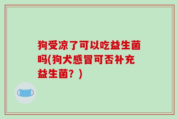狗受凉了可以吃益生菌吗(狗犬感冒可否补充益生菌？)
