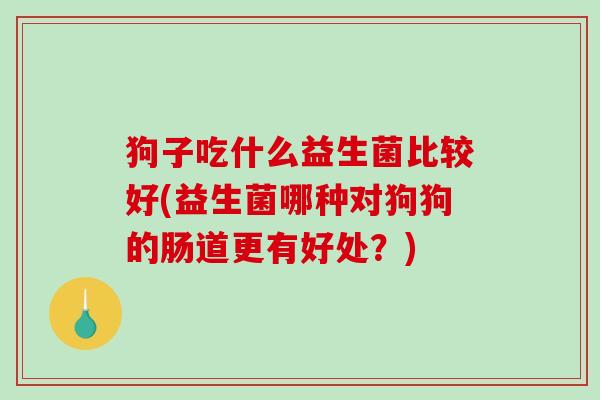 狗子吃什么益生菌比较好(益生菌哪种对狗狗的肠道更有好处？)