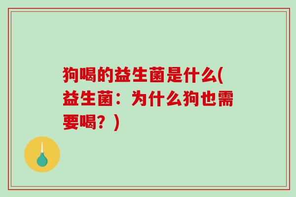 狗喝的益生菌是什么(益生菌:为什么狗也需要喝?) 狗喝的益生菌是什么(益生菌:为什么狗也需要喝?)