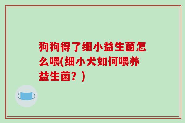 狗狗得了细小益生菌怎么喂(细小犬如何喂养益生菌?) 狗狗得了细小益生菌怎么喂(细小犬如何喂养益生菌?)