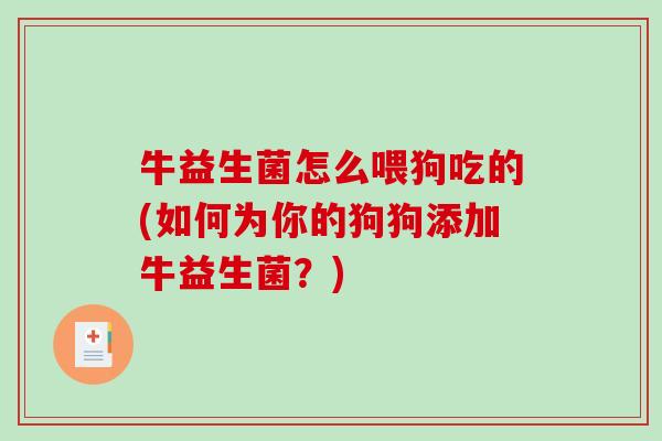 牛益生菌怎么喂狗吃的(如何为你的狗狗添加牛益生菌？)