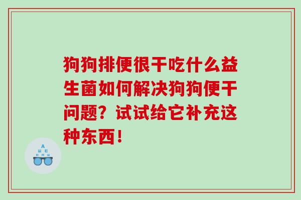 狗狗排便很干吃什么益生菌如何解决狗狗便干问题？试试给它补充这种东西！