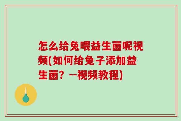 怎么给兔喂益生菌呢视频(如何给兔子添加益生菌？--视频教程)