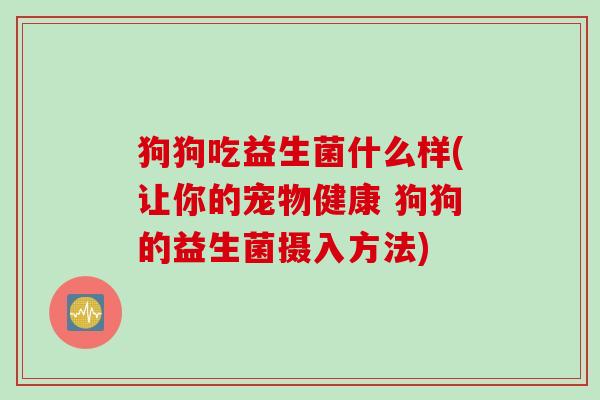 狗狗吃益生菌什么样(让你的宠物健康 狗狗的益生菌摄入方法)