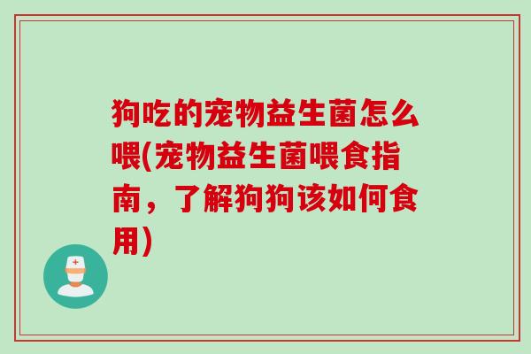 狗吃的宠物益生菌怎么喂(宠物益生菌喂食指南，了解狗狗该如何食用)
