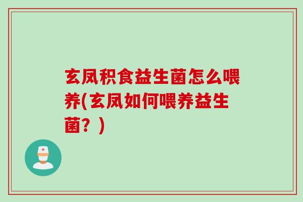 玄凤积食益生菌怎么喂养(玄凤如何喂养益生菌？)