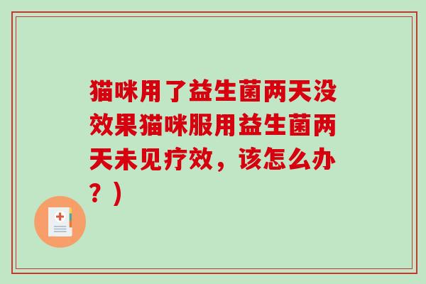 猫咪用了益生菌两天没效果猫咪服用益生菌两天未见疗效，该怎么办？)