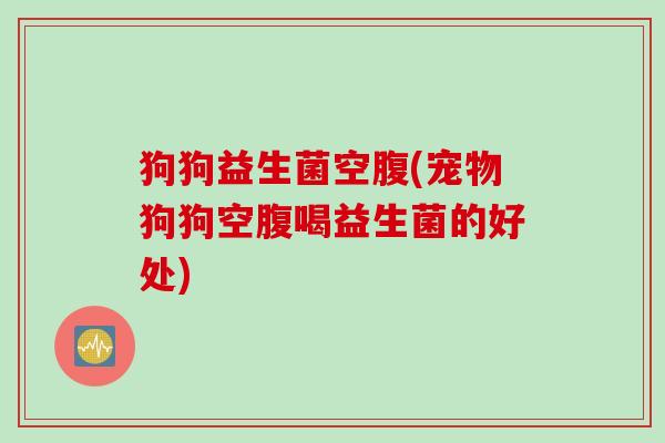 狗狗益生菌空腹(宠物狗狗空腹喝益生菌的好处)