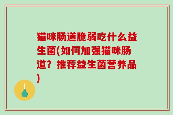 猫咪肠道脆弱吃什么益生菌(如何加强猫咪肠道？推荐益生菌营养品)