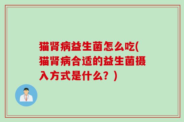 猫肾病益生菌怎么吃(猫肾病合适的益生菌摄入方式是什么？)